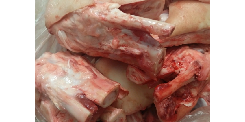 Японцы придумали, как справиться с радиационным загрязнением