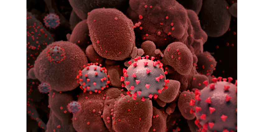 Роспотребнадзор дал рекомендации привитым от COVID-19 россиянам