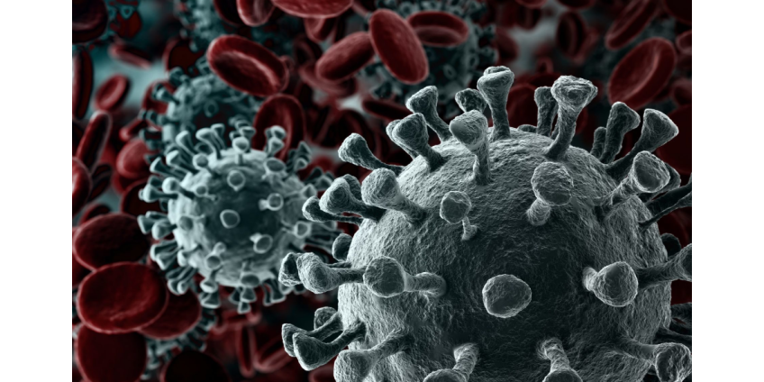 Аризона сообщает о 844 новых случаях COVID-19 и 19 смертях