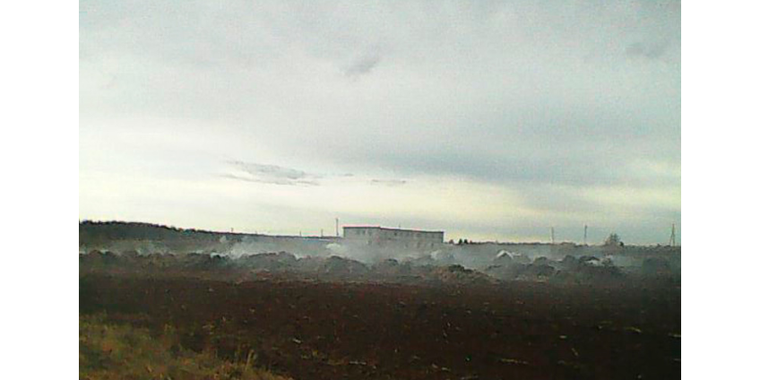 Две школьницы сожгли ферму в Пермском крае ради ролика для TikTok