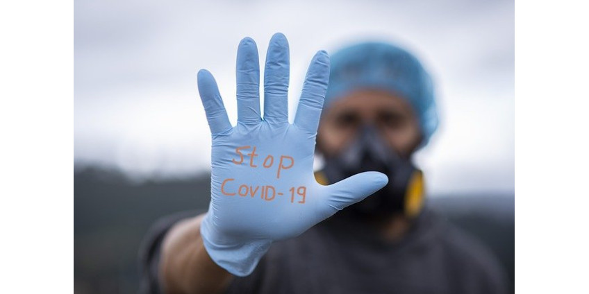 Число случаев заражения коронавирусом в России за сутки составило 8 951