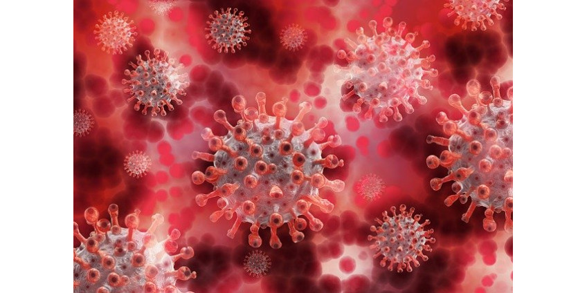 США с помощью компьютеров проверят версию о "лабораторном" происхождении коронавируса