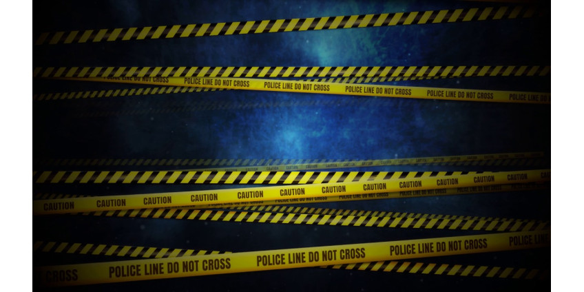 Женщина погибла в ДТП на юге Финикса, полиция ищет водителя