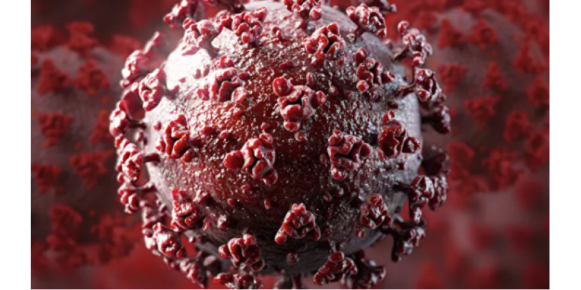 Вирусологи спрогнозировали спад четвертой волны COVID-19 в России