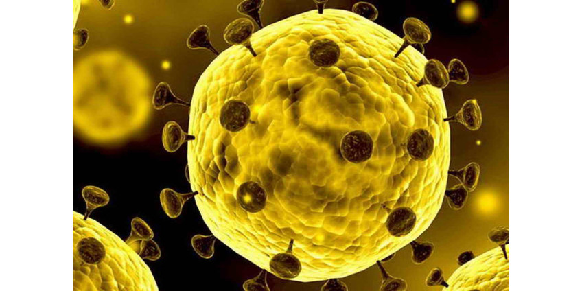 Округ Сан-Диего переходит на желтый уровень