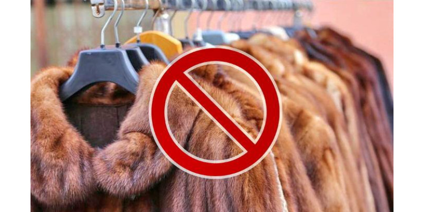 Израиль первым в мире запретил продажу меха