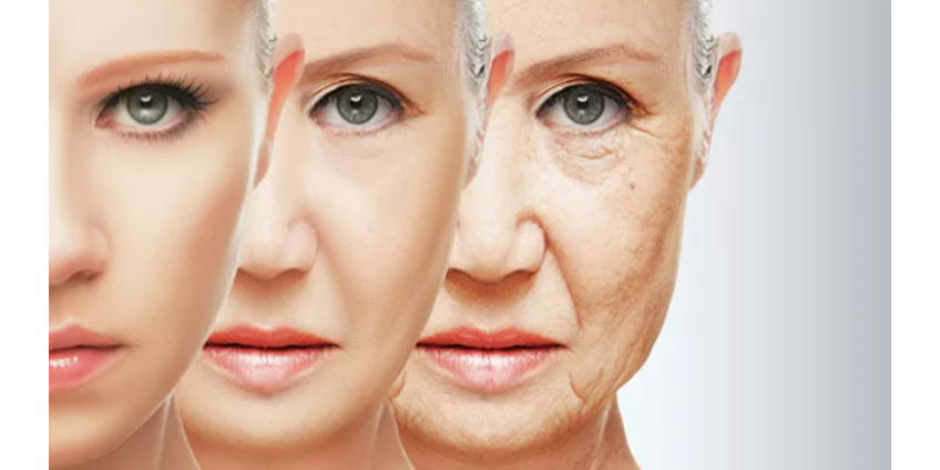 Ученые обнаружили фактор преждевременного старения