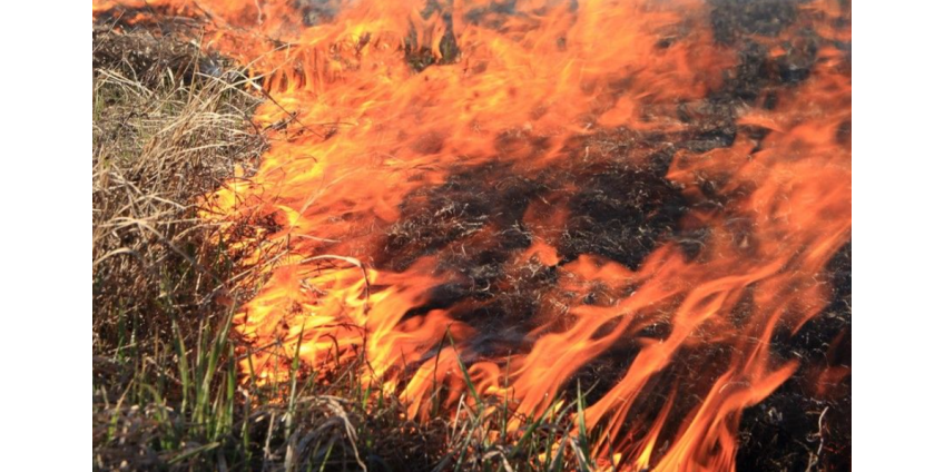 Пожарные Сан-Диего потушили пожар в Carmel Valley
