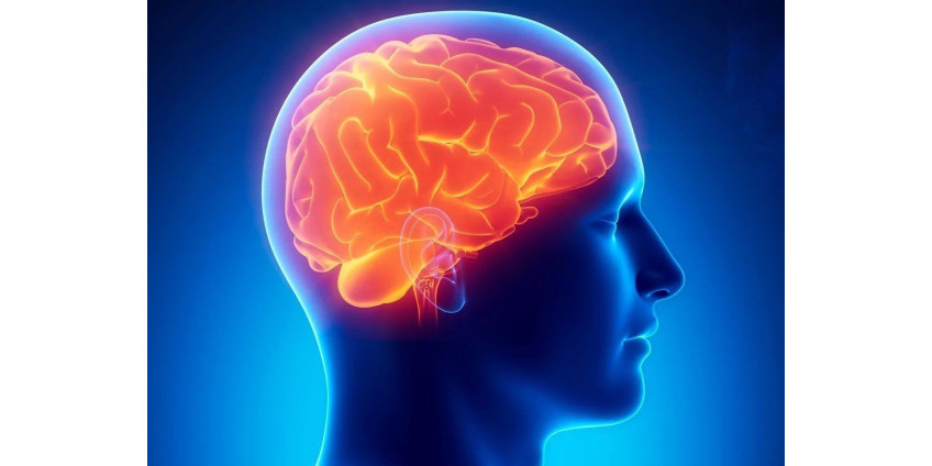 Человеческий мозг оказался способен путешествовать во времени