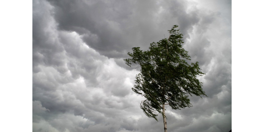 На выходных на Финикс обрушились муссонный дождь, ветер и пыль