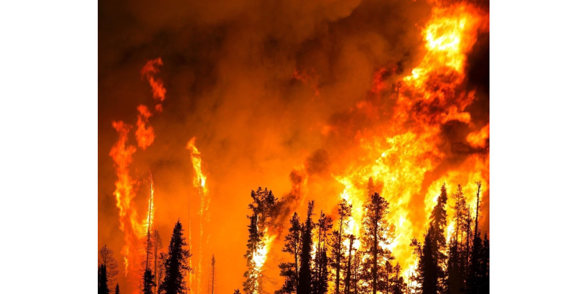 В Angeles National Forest уровень пожарной опасности подняли до «экстремального»