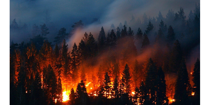 Тысячи людей эвакуировали из-за сильнейших лесных пожаров в США