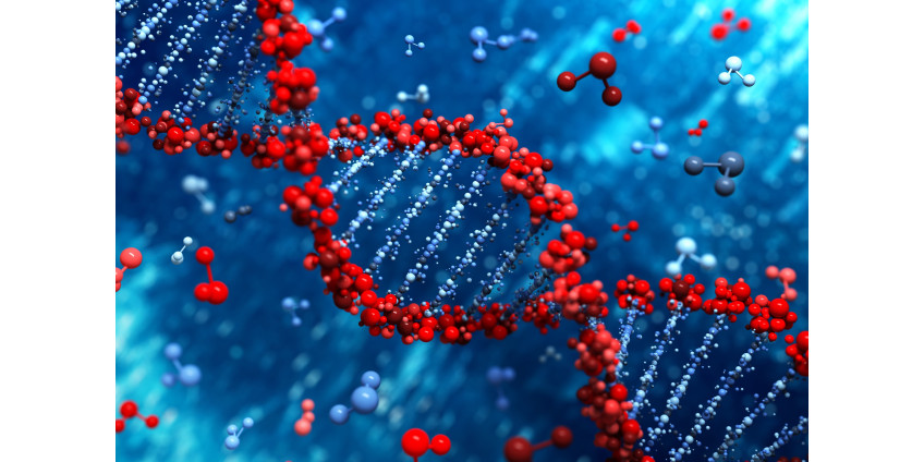 Полиция раскрыла убийство, совершенное в 1989 году в Лас-Вегасе