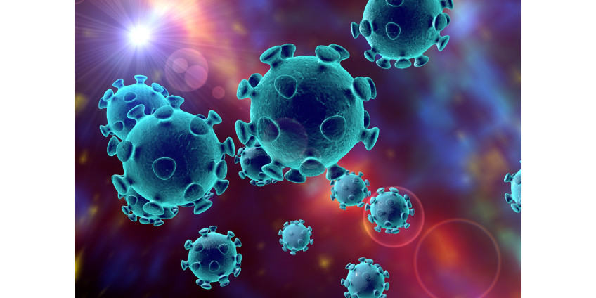 Количество смертей от COVID-19 в России за сутки повторило рекорд