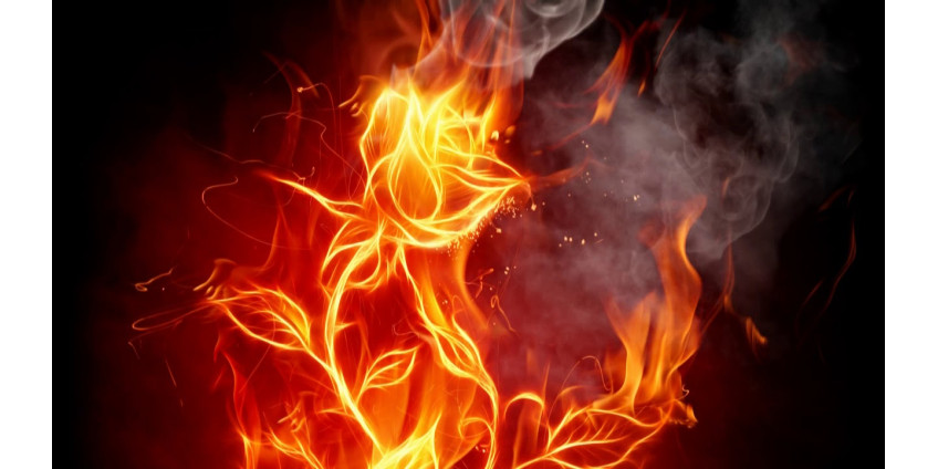 Пожары в Турции назвали национальной катастрофой