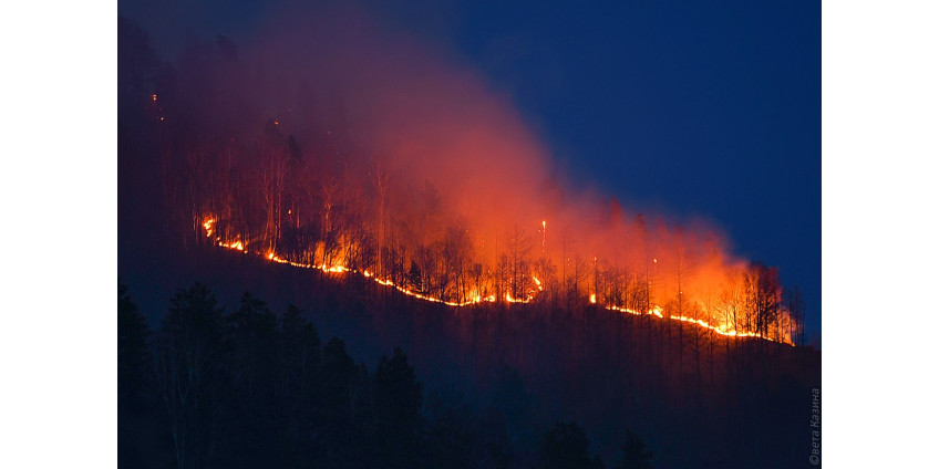 Террористы взяли на себя вину за лесные пожары в Турции