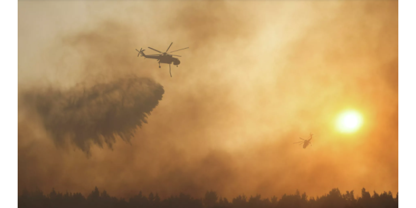 В Греции ситуацию с пожарами назвали беспрецедентным экологическим кризисом