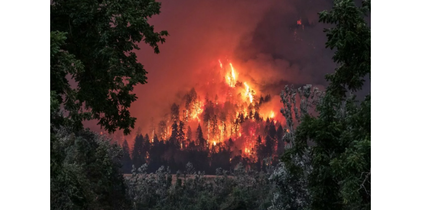 Рабочий заживо сгорел в лесном пожаре в Якутии