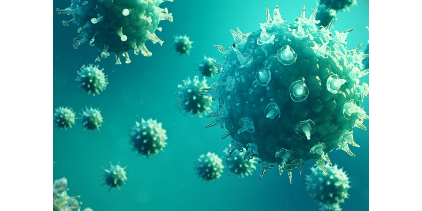 Ученые в США сообщили о штамме коронавируса со смертностью выше на 82 процента