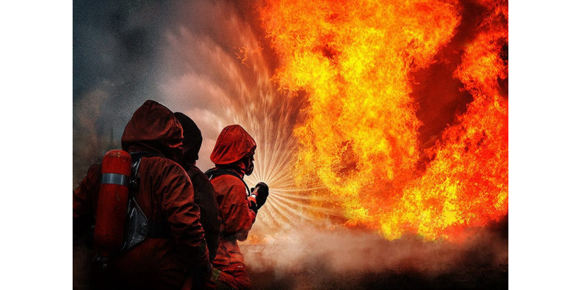 В Алжире из-за массовых лесных пожаров погибли 65 человек