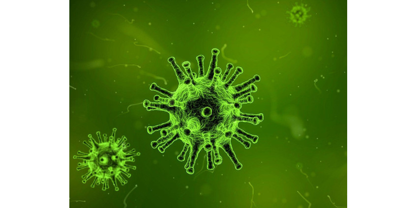 В округе Лос-Анджелес за последний месяц госпитализации в связи с COVID-19 выросли на 366%