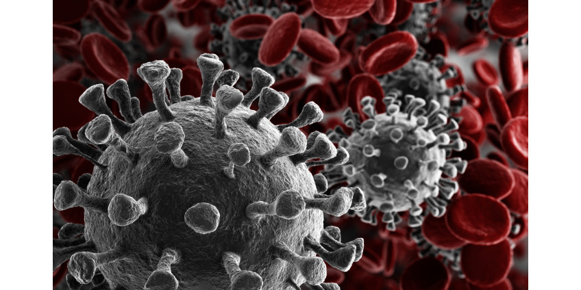 2500+ случаев заболевания COVID-19 и 30 смертей были зарегистрированы в Неваде в минувшие выходные