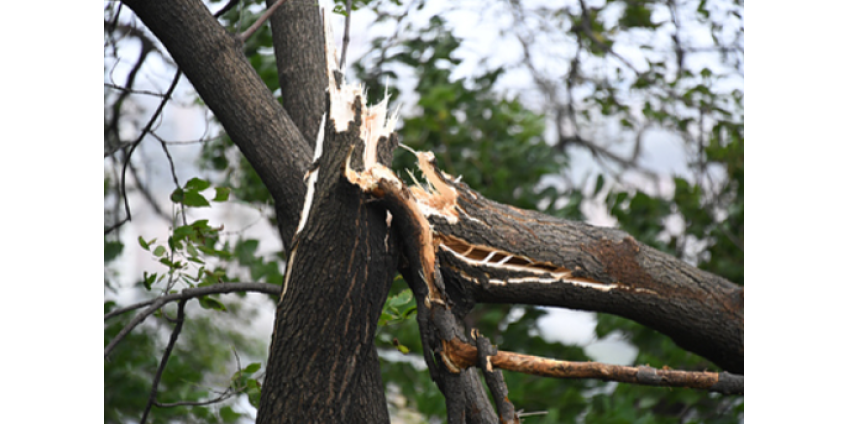 Синоптик спрогнозировал смерчи в четырех российских регионах