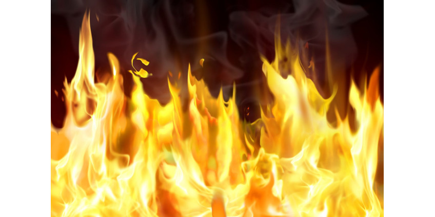 Площадь пожара на юго-востоке Франции достигла пяти тысяч гектаров