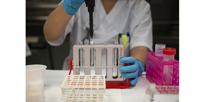 Округ Сан-Диего сообщает о 1498 новых случаях заболевания COVID-19 и росте числа госпитализаций