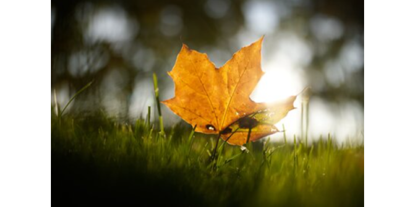 Россиян предупредили о резком похолодании