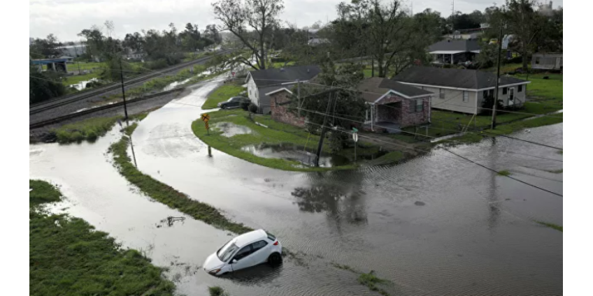 Мужчина в США пропал без вести после атаки аллигатора при наводнении