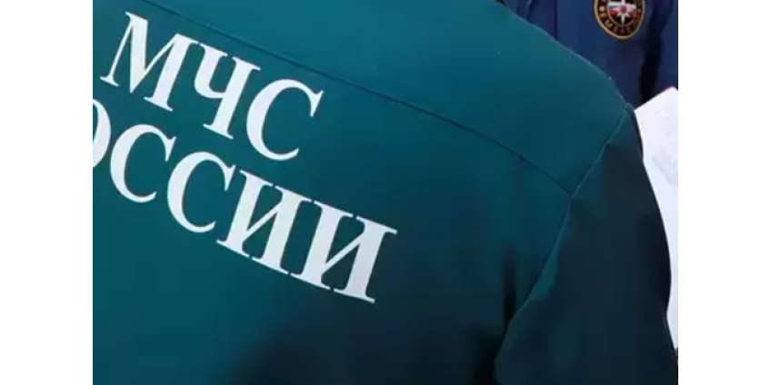 Пропавших девять дней назад в лесу россиянок нашли живыми