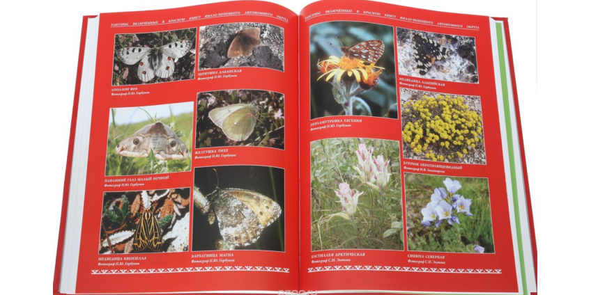 В России впервые за 20 лет переиздадут Красную книгу