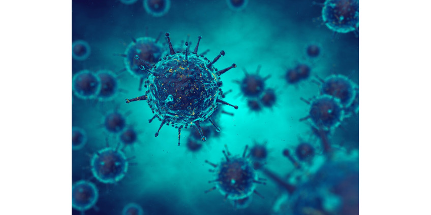 Власти сообщили статистику по коронавирусу в Сан-Диего