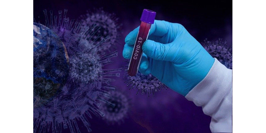 Невада достигла «пика» нынешнего всплеска COVID-19