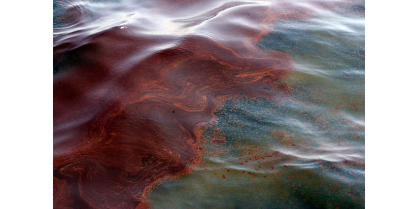 Член конгресса США потребовала от Байдена объявить о ситуации крупного бедствия в Калифорнии