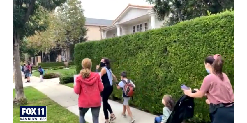 В Лос-Анджелесе антипрививочники затеяли конфликт с родителями, провожающими детей в школу