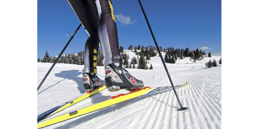 Норвежская лыжница Бьорген попалась на допинге. Но ее оправдали и пожалели