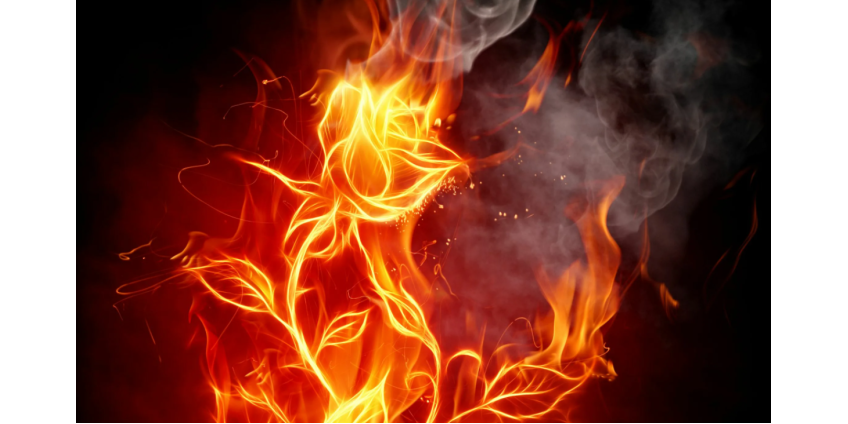 В Финиксе устанавливают причины пожара в боксерском зале