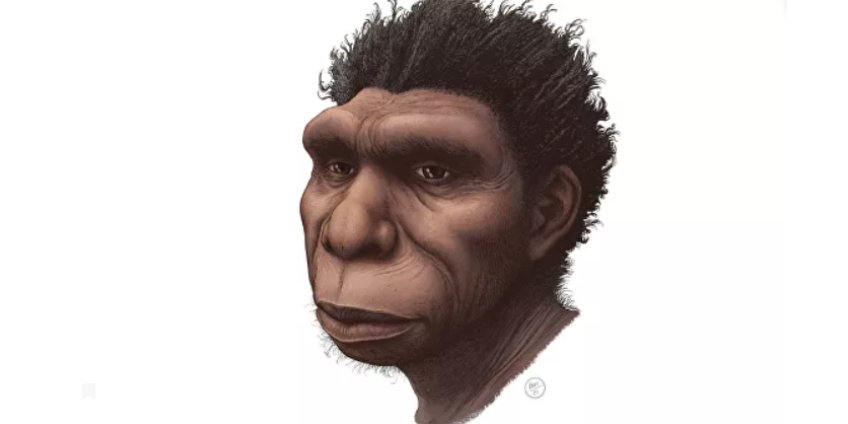 Ученые назвали нового предка человека