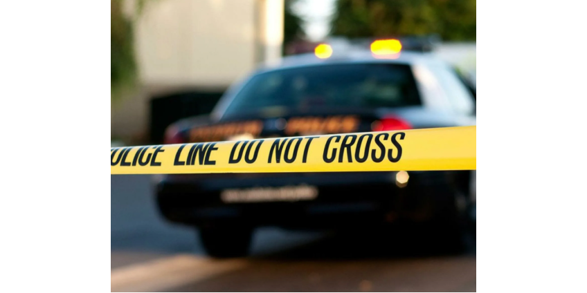 3 человека, в том числе ребенок, пострадали в результате нападения на станции линии метро B в Голливуде