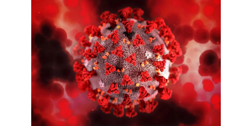 Российский эпидемиолог оценил развитие пандемии коронавируса