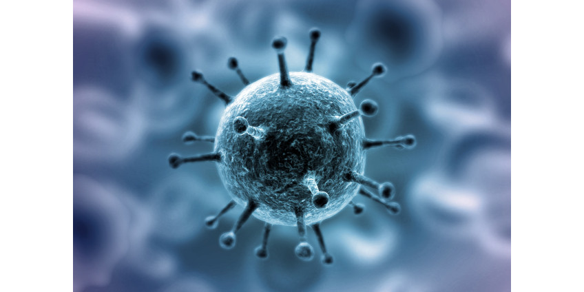 Опасность нового штамма COVID-19 сравнили c Эболой