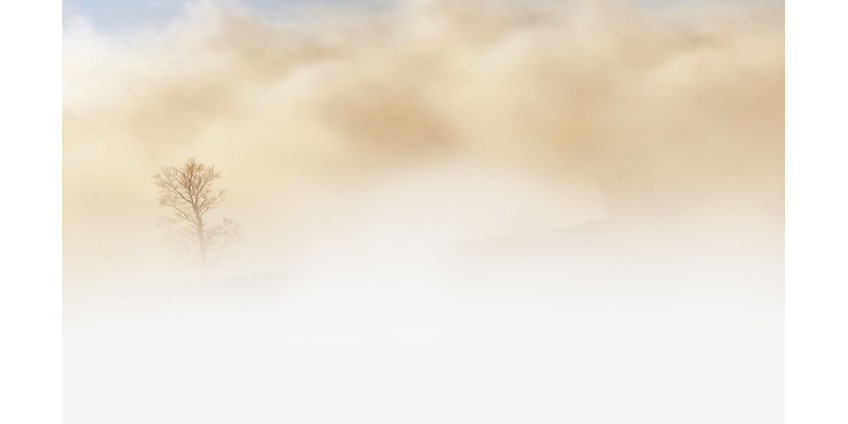 Густой туман вызвал массовую отмену рейсов в международном аэропорту Сан-Диего