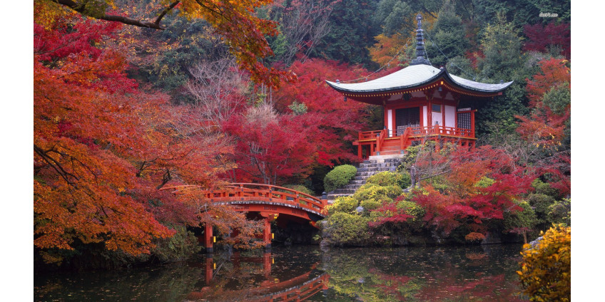 Население Японии сократилось почти на миллион человек