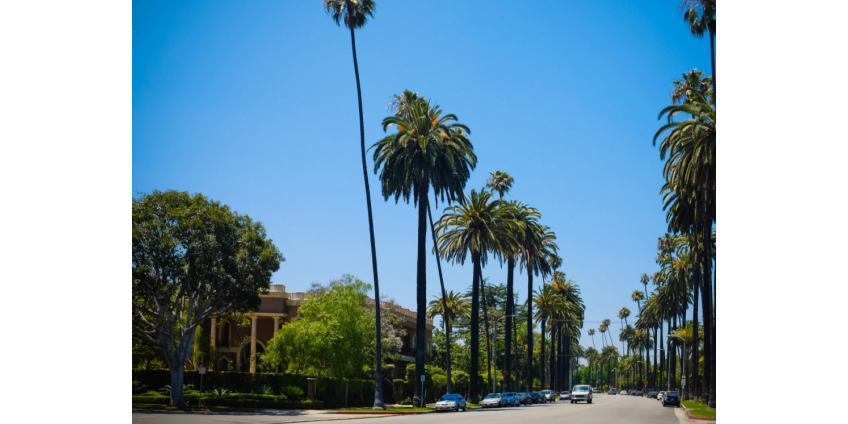 В Беверли-Хиллз усилено присутствие полиции на фоне роста преступности