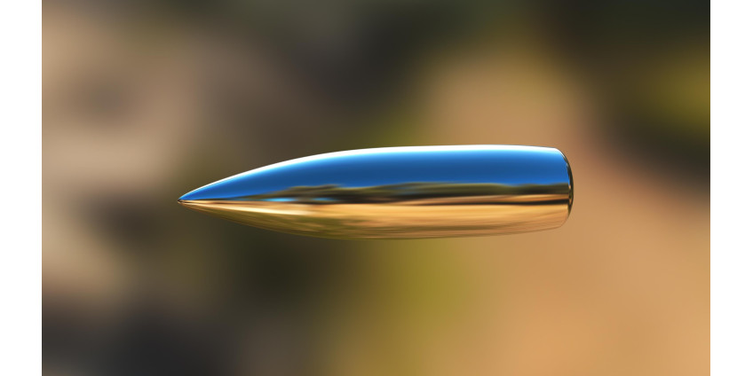 В Сан-Диего расследуют стрельбу по автомобилю с мигрантами