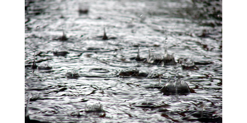 В центре Лос-Анджелеса побит 133-летний рекорд по осадкам