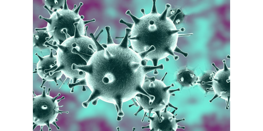 В округе Сан-Диего наблюдается небольшое снижение числа госпитализаций в связи с COVID-19