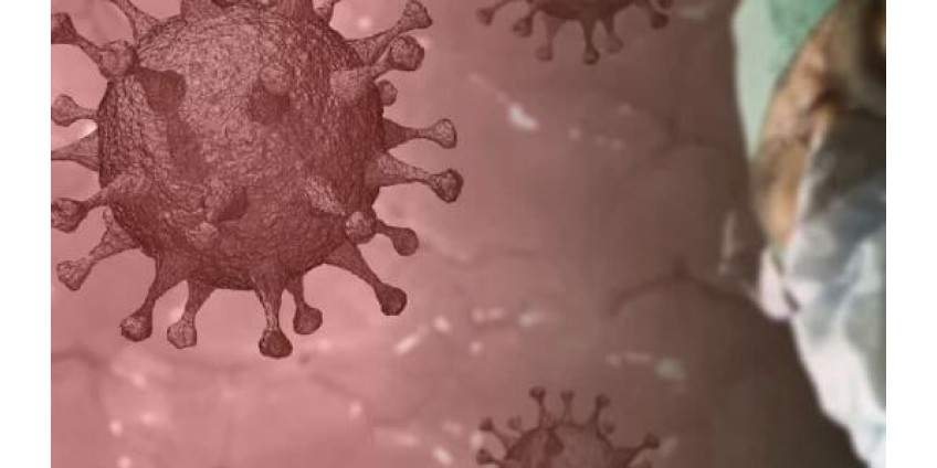 Омикрон-штамм коронавируса обнаружили в 110 странах